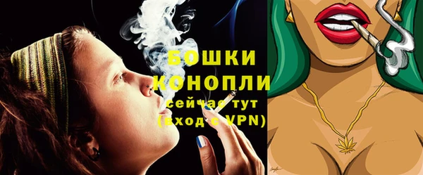 гидра Белокуриха