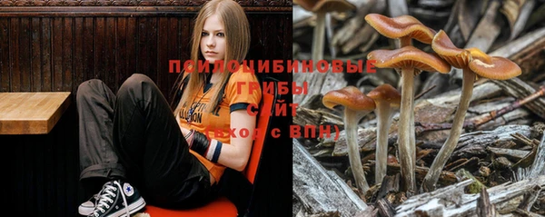 гидра Белокуриха