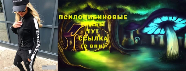 гидра Белокуриха