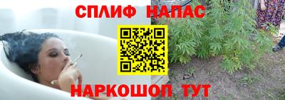 mdpv Новокубанск