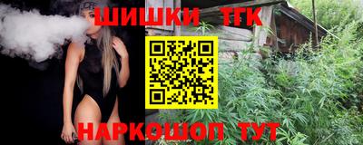 тгк Новозыбков