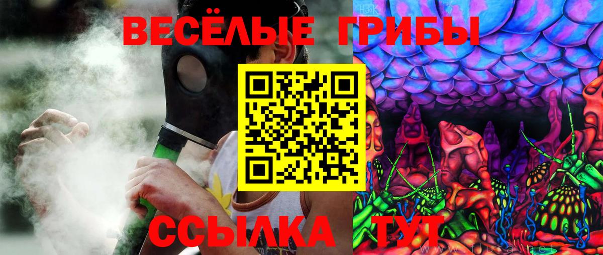 купить наркоту  Галлюциногенные грибы мухоморы  Вход с VPN  Северск 