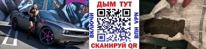 Каннабис гибрид  кракен как зайти  Северск 